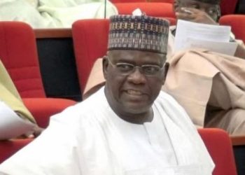 Goje Loses Re-election Bid for Senate Race after 15 Years in the Red Chamber