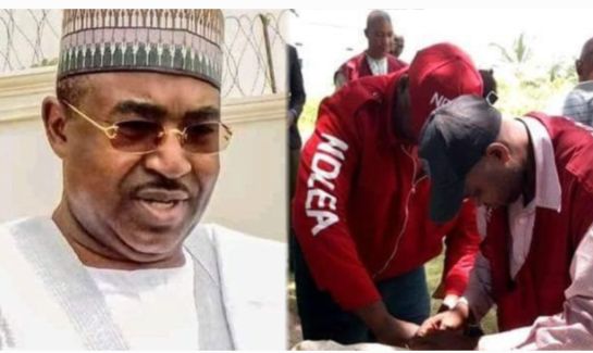 NDLEA Nabs Nigeria-Mexico Drug Syndicate, Uncovers N480 billion Worth of Meth in Ogun Forest