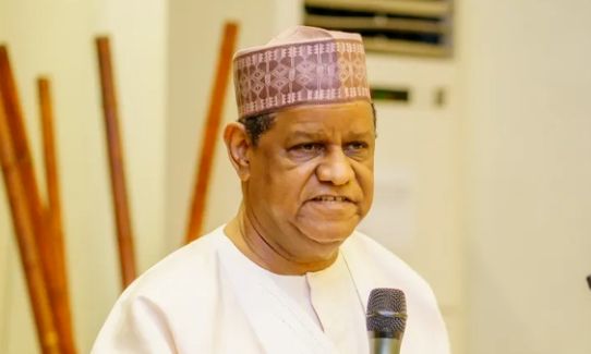 ADC Presidential Primary: Hayatu-Deen Alleges Rigging, Announces Withdrawal from Exercise