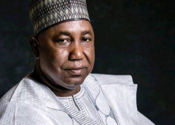 Gaya Loses Senate Return Ticket as NDC Choses Ex-NARTO President