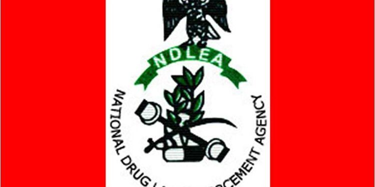 NDLEA Intercepts Ketamine Hidden in Water Purifiers from Netherlands, Makes Multiple Arrests Nationwide