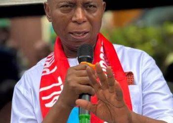 Protect My Mandate, Nwoko Tells APC Leadership