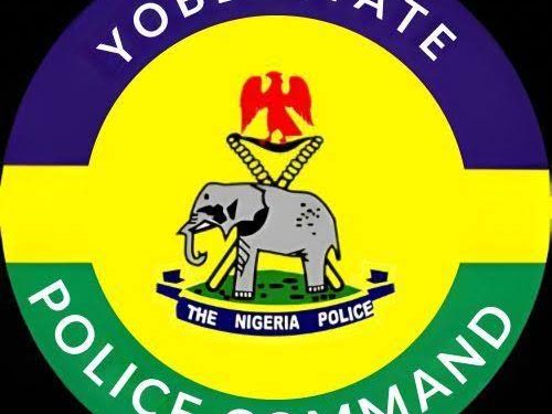 Yobe Police Arrest Nine Suspects Over Drug Offences, Market Robbery Incidents