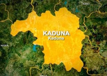 Kaduna ADC Governorship Aspirant Rejects Primary Results