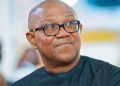 Abia Reps Aspirant Backs Peter Obi, Says He Will End Insecurity Within Months in Office