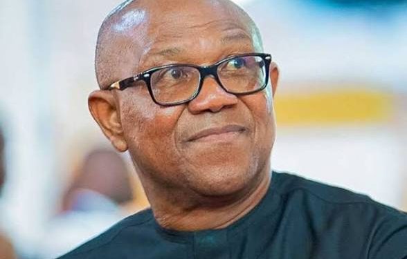 Abia Reps Aspirant Backs Peter Obi, Says He Will End Insecurity Within Months in Office