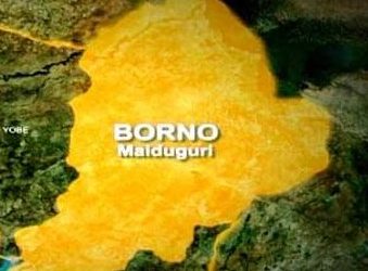 Cholera Outbreak Kills 37, Infects Over 3,000 in Borno — Officials