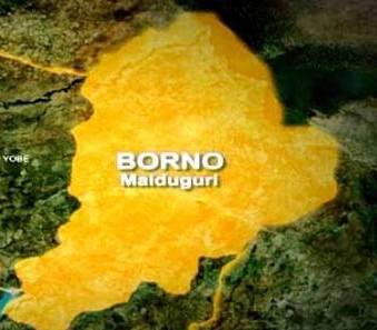 Cholera Outbreak Kills 37, Infects Over 3,000 in Borno — Officials