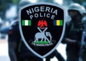 Police Urge Calm Over Reported Xenophobic Attacks in S’Africa, Warn Against Reprisal Violence in Nigeria
