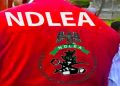 Balloons, Cakes Now Used to Conceal Drugs, NDLEA Raises Alarm