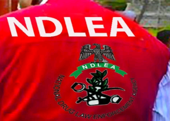 Balloons, Cakes Now Used to Conceal Drugs, NDLEA Raises Alarm