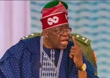 Tinubu Blames Local Government Chairmen for Nigeria’s Insecurity
