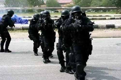 Police, Others Repel Zamfara Bandit Attack in Two-hour Gunfight