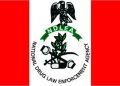NDLEA Auctions Assets of Drug Barons for N6.1 billion