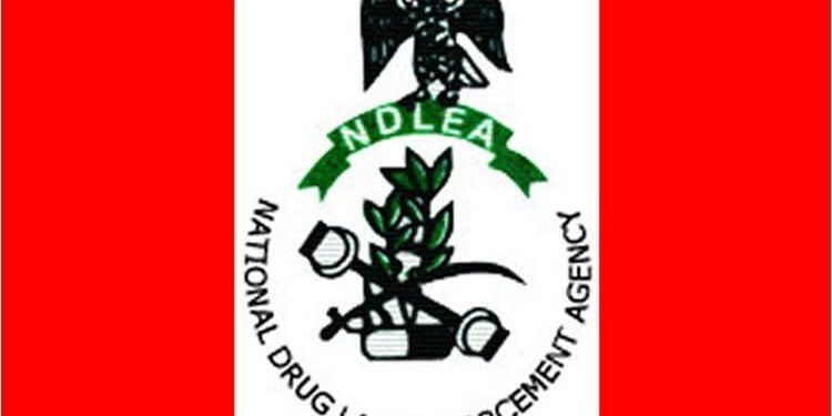 NDLEA Auctions Assets of Drug Barons for N6.1 billion