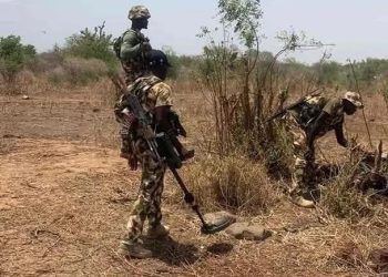 Troops Arrest Suspected Bandit Informants in Niger: Official