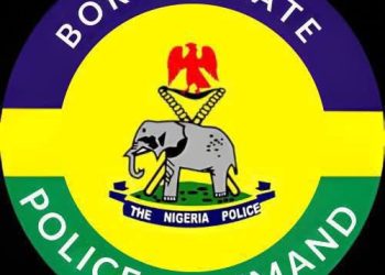 Police to Enforce Monthly Environmental Sanitation in Borno to Fight Cholera