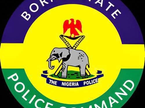 Police to Enforce Monthly Environmental Sanitation in Borno to Fight Cholera