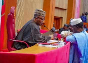 Senate Leader Proposes Single Six-Year Term for President, Governors After 2027