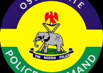 Insecurity: Police Order Suspension of Political Rallies in Osun LG