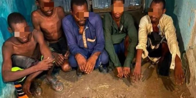 Troops Arrest Five Suspected Kidnappers, Seize Weapons in Borno Raid