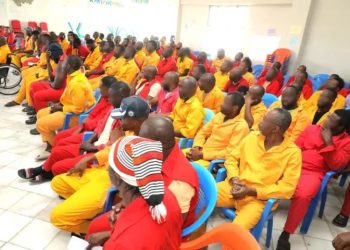 Nigerian Inmates in Ethiopia Celebrate Prisoners Transfer Deal, Thank Tinubu