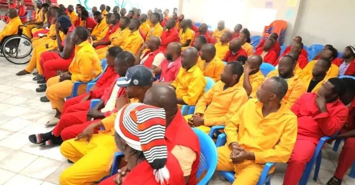 Nigerian Inmates in Ethiopia Celebrate Prisoners Transfer Deal, Thank Tinubu