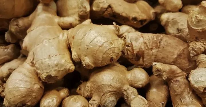 NADF, NRCRI Unveil Programme to Revive Nigeria’s Ginger Industry