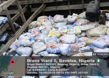 Navy Foils Illegal Mining in Bayelsa, Arrests 13 Suspects