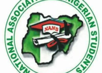NANS Threatens Nationwide Protest over Two‑month Delay in NELFUND Allowances
