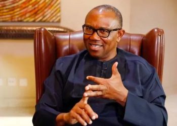 State Police: Obi Recommends Implementation Postponed Until after 2027 Election