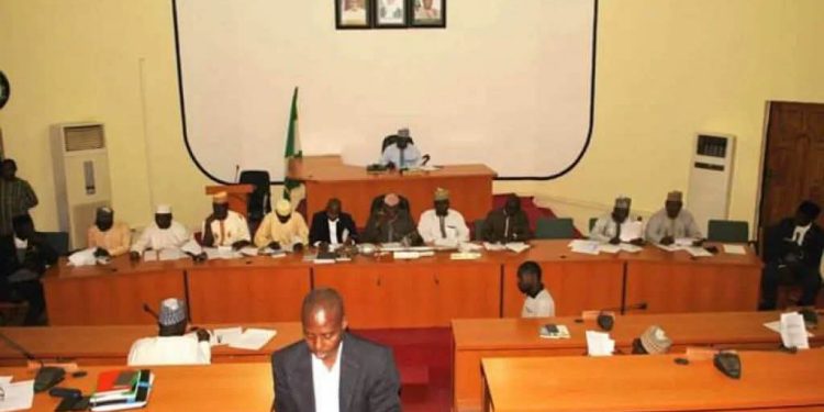 Niger Assembly Suspends Plenary Indefinitely over Rift with Executive