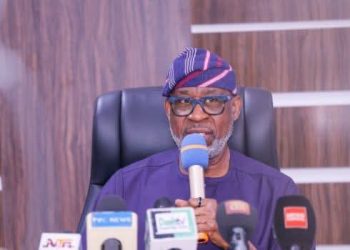 Nigerian Govt Announces Discovery of Platinum, Lithiums, Rare Earth Deposits in Kaduna