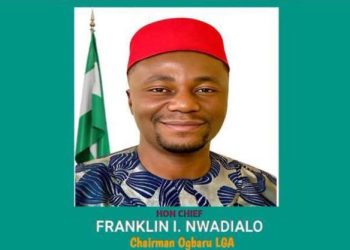 Anambra Politician Nwadialu Nabbed in U.S., Jailed for 5 years over Multimillion-dollar Romance Scam