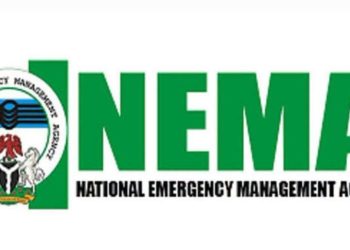NEMA Donates 4,000 Saudi-donated Food Baskets in Anambra