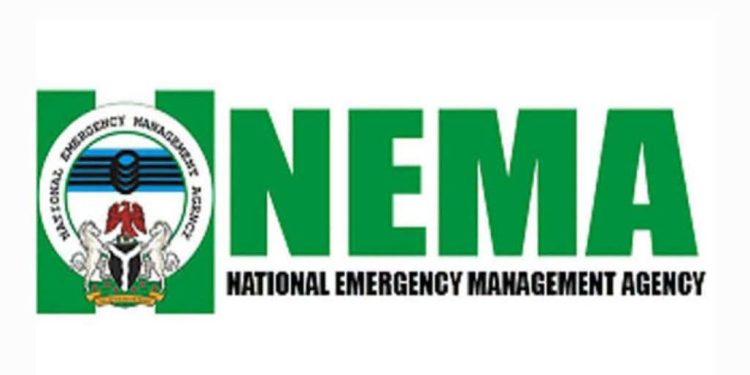 NEMA Donates 4,000 Saudi-donated Food Baskets in Anambra