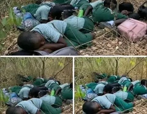 Oyo: Kidnappers Not Demanding Sharia Or Cash— Principal Says