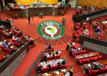 ECOWAS Parliament Launches SME Onboarding Webinar to Boost Africa-Wide Trade Opportunities ‎