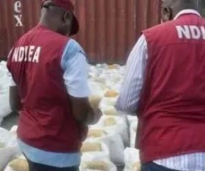 NDLEA Dismantles Syndicates Recruiting Women into Illicit Drug Trade