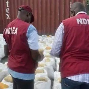 NDLEA Dismantles Syndicates Recruiting Women into Illicit Drug Trade
