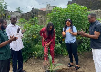 Bomu Hails CEDSI Water Project, Tree Planting Initiative