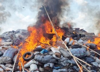 NDLEA Destroys Over 73,000kg of Illicit Drugs in Edo