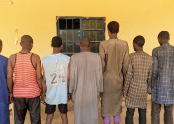 Kebbi Police Nab Seven Suspected Bandits in Forest Crackdown