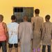 Kebbi Police Nab Seven Suspected Bandits in Forest Crackdown