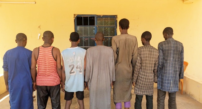 Kebbi Police Nab Seven Suspected Bandits in Forest Crackdown