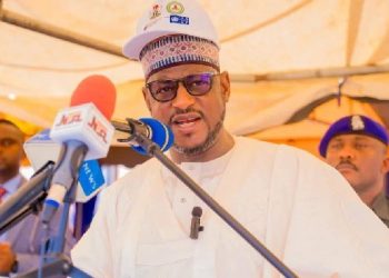 Poverty, Youth Unemployment Behind Rising Insecurity — Katsina Governor