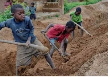 ILO Laments Global Child Labour