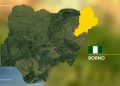 Borno Attack:  Police Confirm ISWAP Fighters Picked All Students in Classrooms