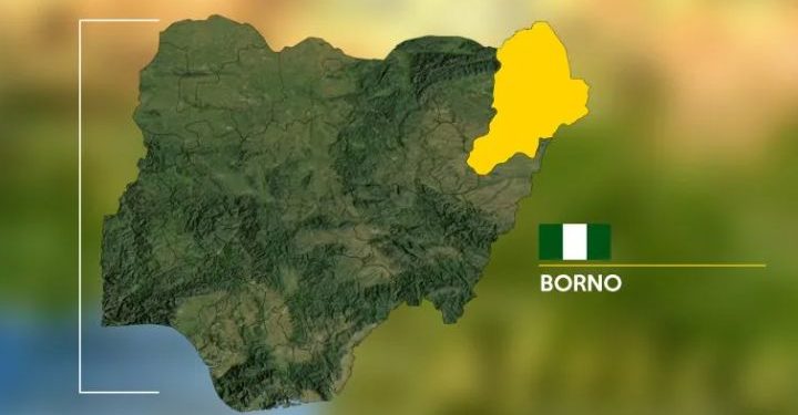 Borno Attack:  Police Confirm ISWAP Fighters Picked All Students in Classrooms