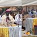 Pope Leo XIV Urges FG to Protect Vulnerable Benue Communities Amid Ongoing Attacks